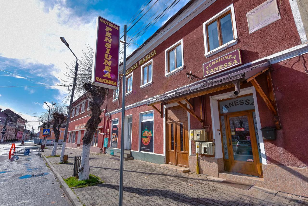 Pensiunea Vanessa Făgăraş Exterior foto
