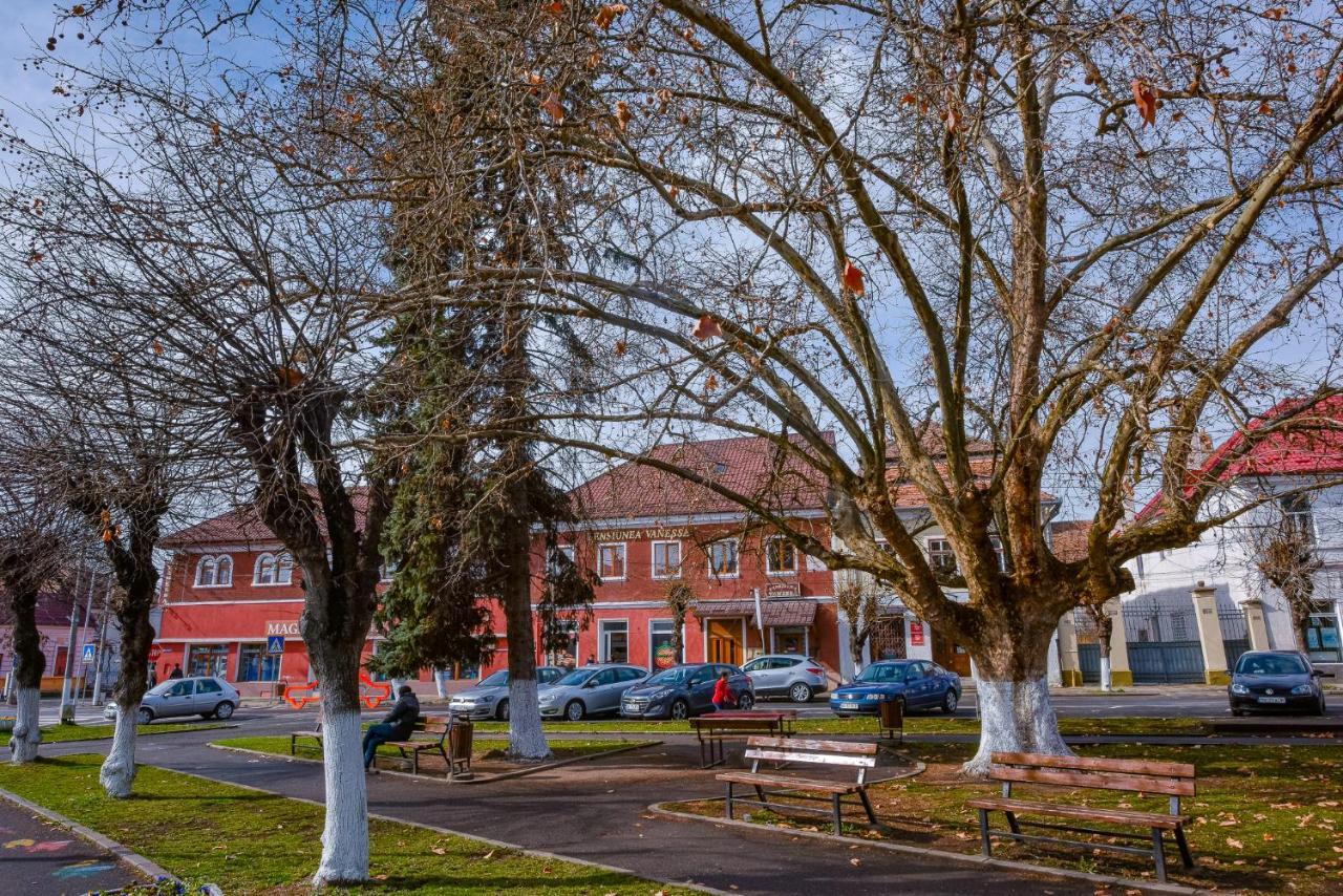 Pensiunea Vanessa Făgăraş Exterior foto